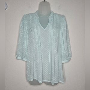 Daniel Rainn Boho Sheer Light Mint Swiss Dot V-Neck Flowy Peasant Blouse